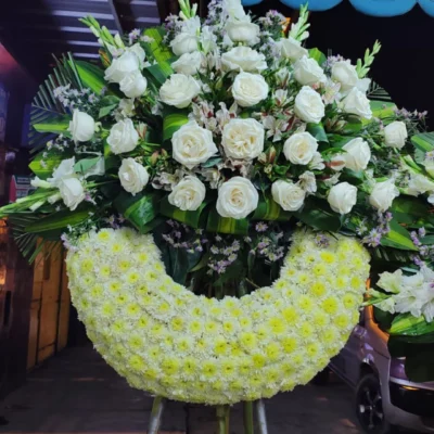 Coronas circular  especiales