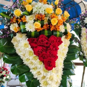 Modelo corazón