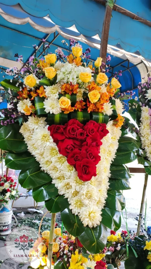 Modelo corazón